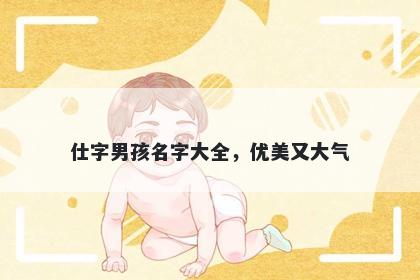 仕字男孩名字大全，优美又大气