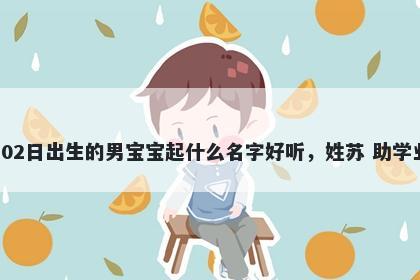 2026年-04月-02日出生的男宝宝起什么名字好听，姓苏 助学业运的名字推荐