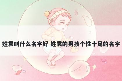 姓袁叫什么名字好 姓袁的男孩个性十足的名字