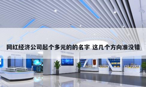 网红经济公司起个多元的的名字 这几个方向准没错