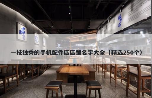 一枝独秀的手机配件店店铺名字大全（精选250个）