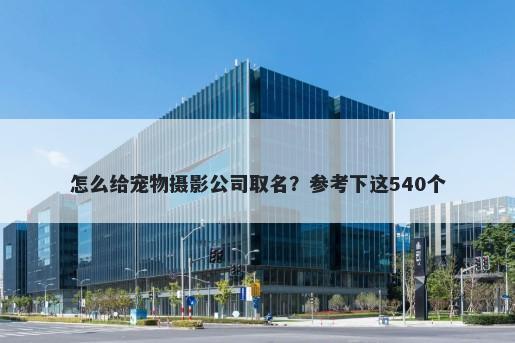 怎么给宠物摄影公司取名？参考下这540个