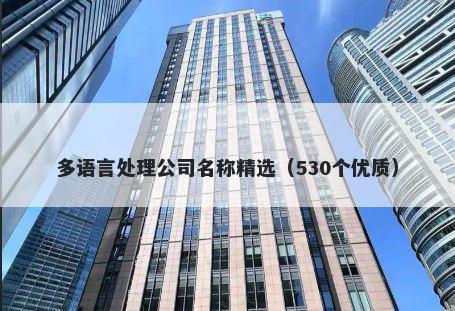 多语言处理公司名称精选（530个优质）