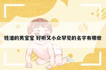 姓潘的男宝宝 好听又小众罕见的名字有哪些