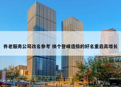 养老服务公司改名参考 换个登峰造极的好名重启高增长