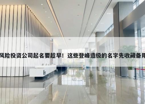 风险投资公司起名要趁早！这些登峰造极的名字先收藏备用