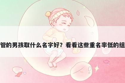 姓管的男孩取什么名字好？看看这些重名率低的组合