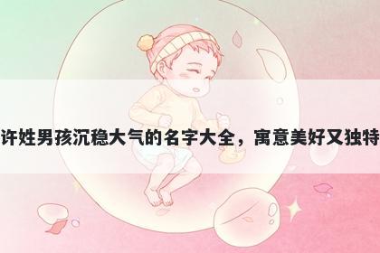 许姓男孩沉稳大气的名字大全，寓意美好又独特