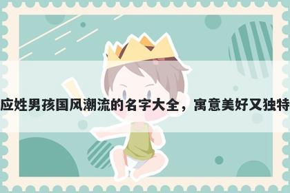应姓男孩国风潮流的名字大全，寓意美好又独特