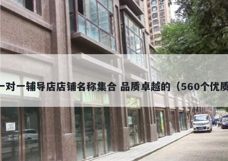 一对一辅导店店铺名称集合 品质卓越的（560个优质）