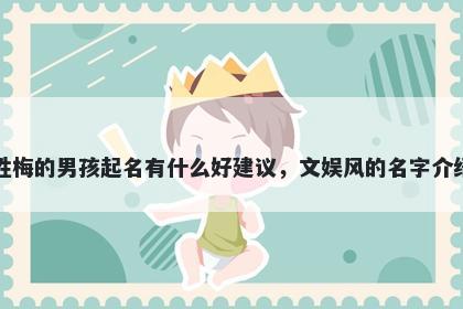 姓梅的男孩起名有什么好建议，文娱风的名字介绍