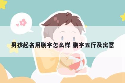 男孩起名用鹏字怎么样 鹏字五行及寓意