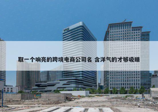 取一个响亮的跨境电商公司名 含洋气的才够吸睛