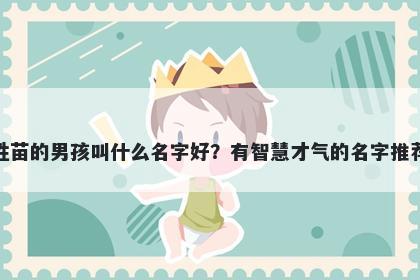 姓苗的男孩叫什么名字好？有智慧才气的名字推荐