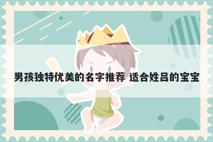 男孩独特优美的名字推荐 适合姓吕的宝宝