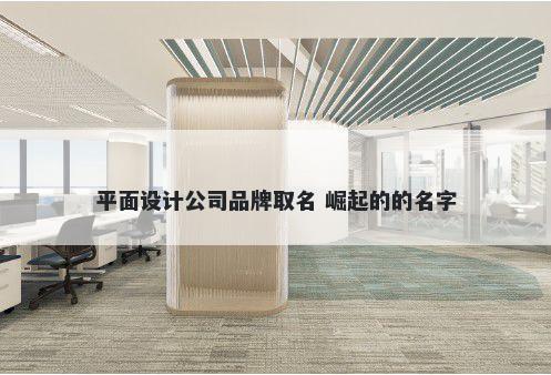 平面设计公司品牌取名 崛起的的名字