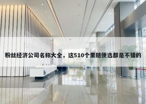 粉丝经济公司名称大全，这510个里随便选都是不错的