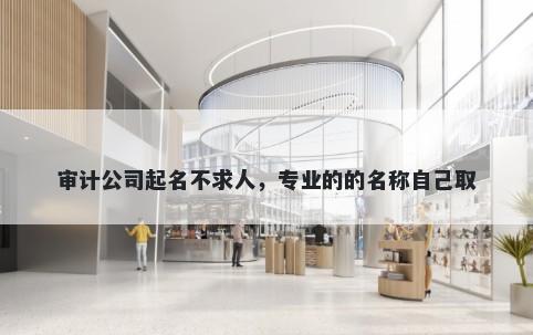 审计公司起名不求人，专业的的名称自己取