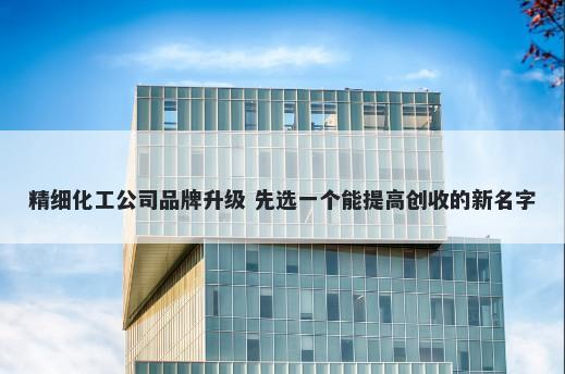 精细化工公司品牌升级 先选一个能提高创收的新名字