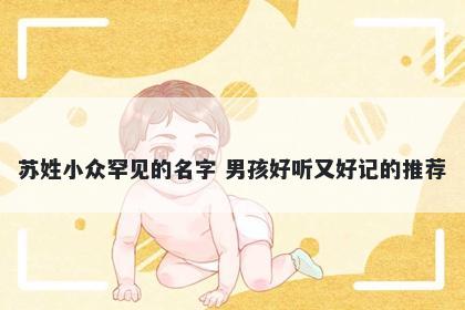 苏姓小众罕见的名字 男孩好听又好记的推荐