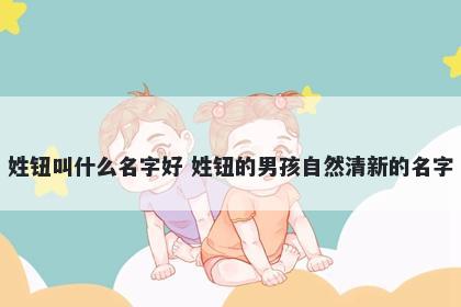 姓钮叫什么名字好 姓钮的男孩自然清新的名字