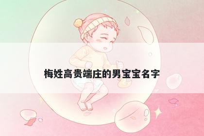 梅姓高贵端庄的男宝宝名字