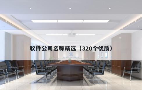 软件公司名称精选（320个优质）