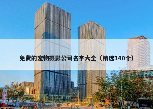 免费的宠物摄影公司名字大全（精选340个）