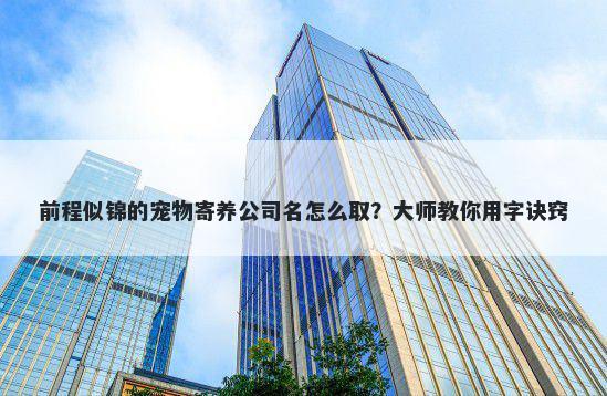 前程似锦的宠物寄养公司名怎么取？大师教你用字诀窍