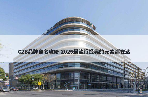 C2B品牌命名攻略 2025最流行经典的元素都在这