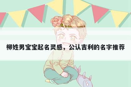 柳姓男宝宝起名灵感，公认吉利的名字推荐