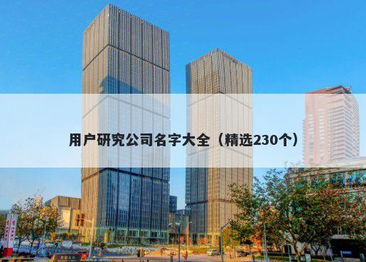 用户研究公司名字大全（精选230个）