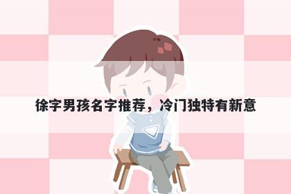徐字男孩名字推荐，冷门独特有新意