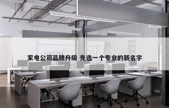 家电公司品牌升级 先选一个专业的新名字
