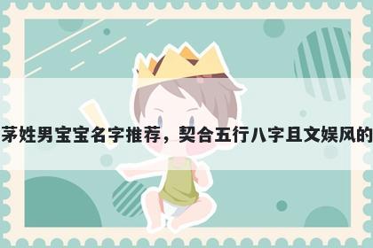 茅姓男宝宝名字推荐，契合五行八字且文娱风的