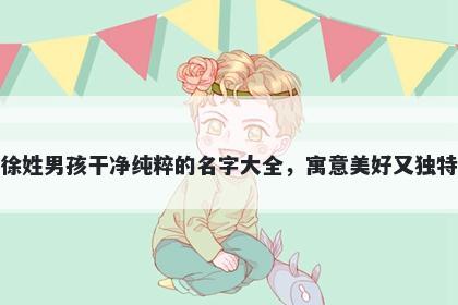 徐姓男孩干净纯粹的名字大全,寓意美好又独特