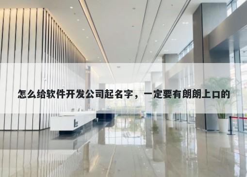 怎么给软件开发公司起名字,一定要有朗朗上口的