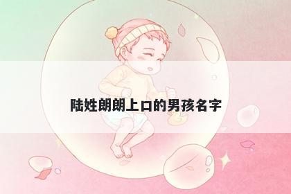 陆姓朗朗上口的男孩名字