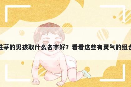 姓茅的男孩取什么名字好？看看这些有灵气的组合