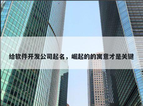 给软件开发公司起名，崛起的的寓意才是关键
