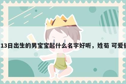 2026年-04月-13日出生的男宝宝起什么名字好听,姓荀 可爱俏皮的名字推荐