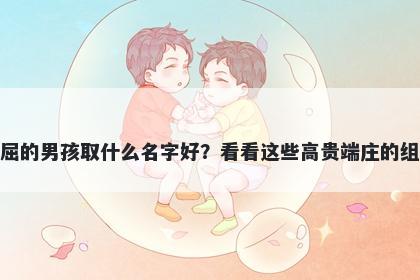 姓屈的男孩取什么名字好？看看这些高贵端庄的组合