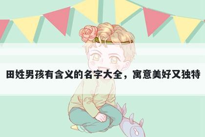 田姓男孩有含义的名字大全，寓意美好又独特