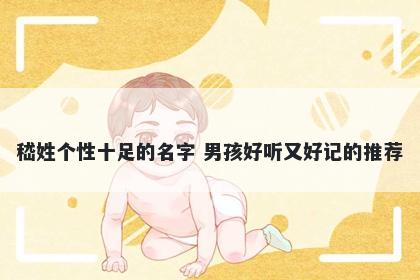 嵇姓个性十足的名字 男孩好听又好记的推荐