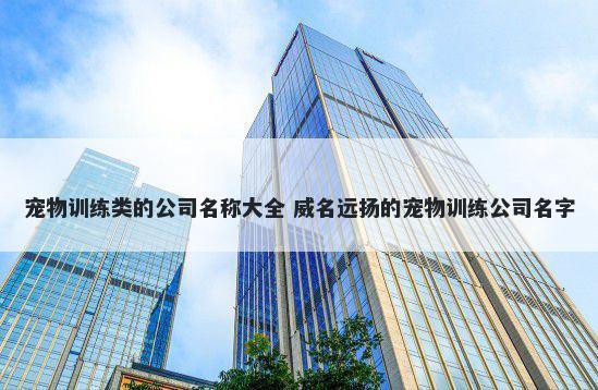 宠物训练类的公司名称大全 威名远扬的宠物训练公司名字