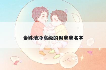 金姓清冷高级的男宝宝名字