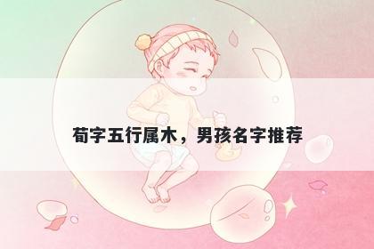荀字五行属木，男孩名字推荐