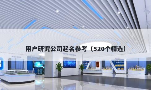 用户研究公司起名参考（520个精选）