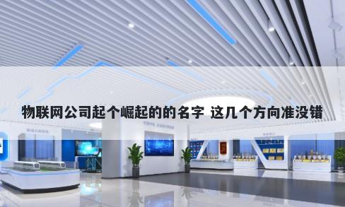 物联网公司起个崛起的的名字 这几个方向准没错