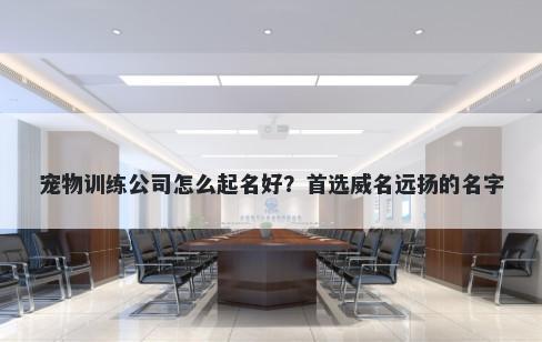 宠物训练公司怎么起名好？首选威名远扬的名字